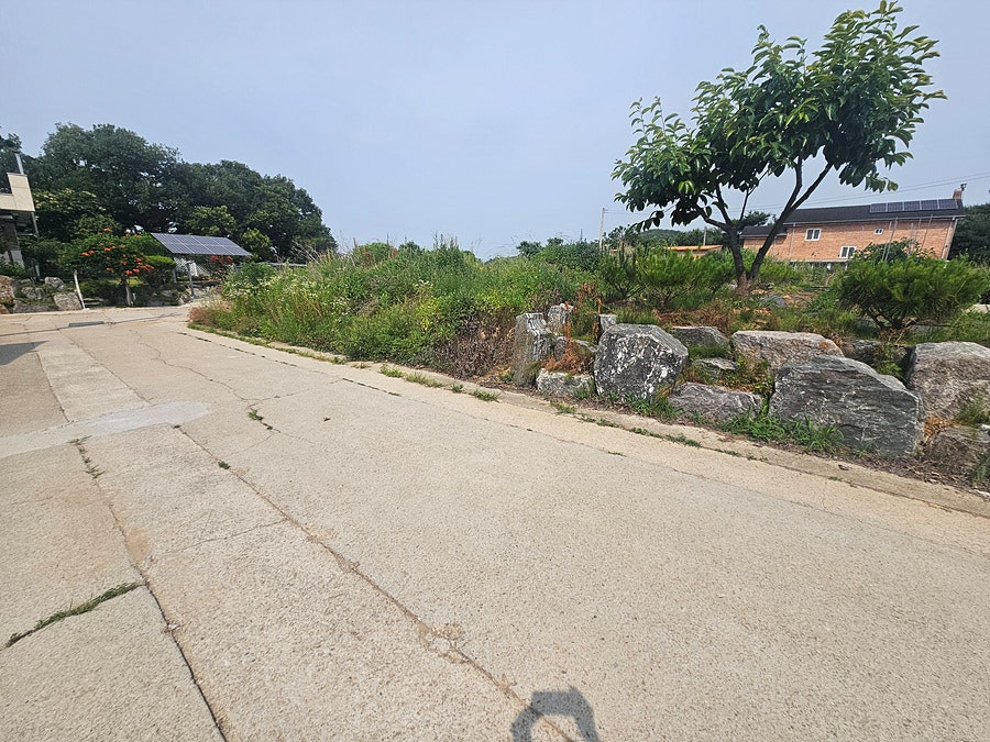 덕정산 사진 6