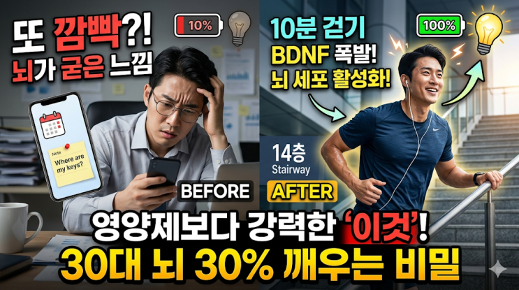  30대 직장인 건망증, 영양제 대신 당장 '이것'부터 해야 하는 이유