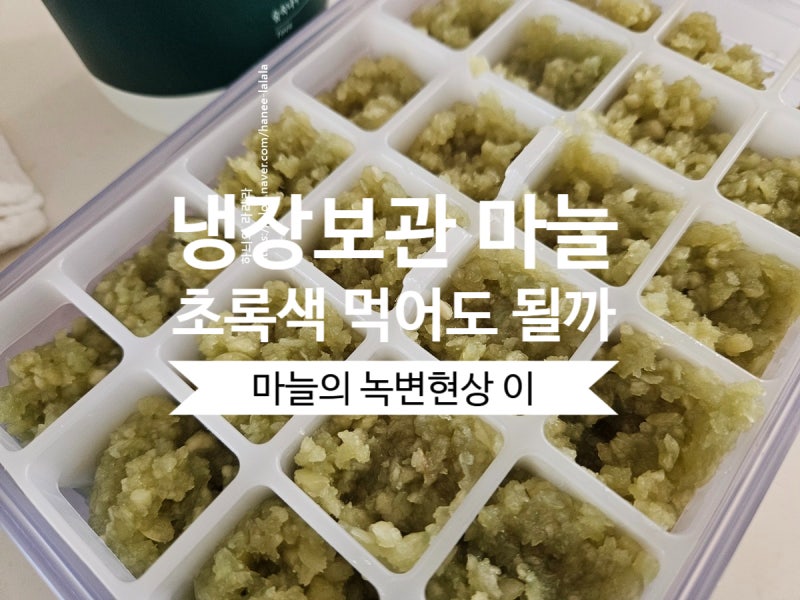 초록색 마늘 색깔 변해도 먹어도 될까 변색 원인 보관방법
