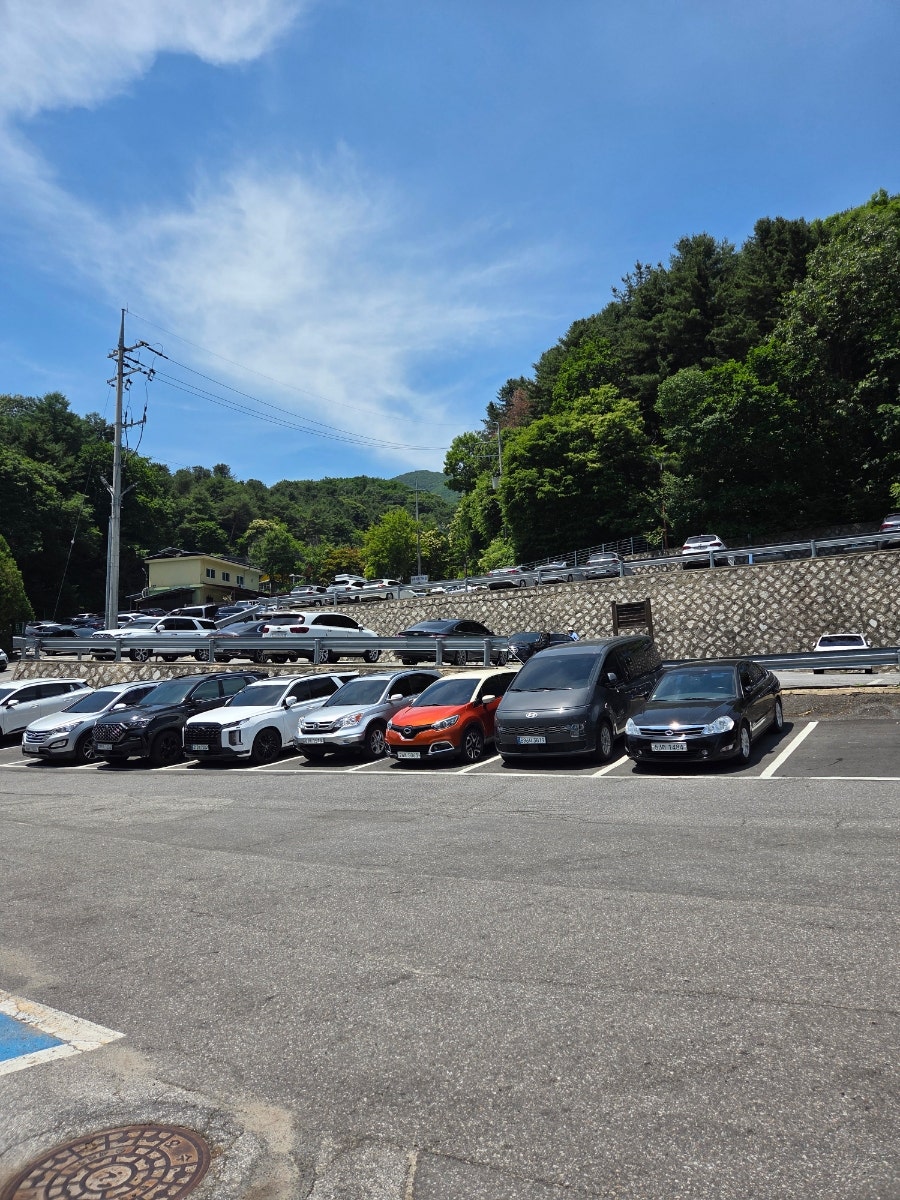 고산식물원 사진 6