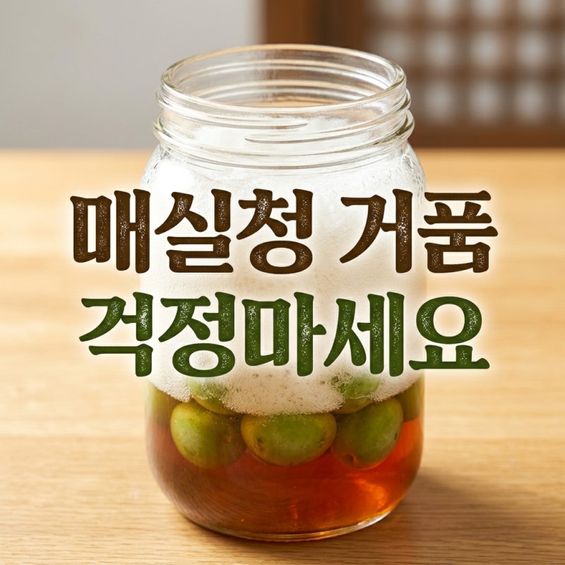 매실청거품 알고 보면 쉬운 이유와 대처법 완벽 정리