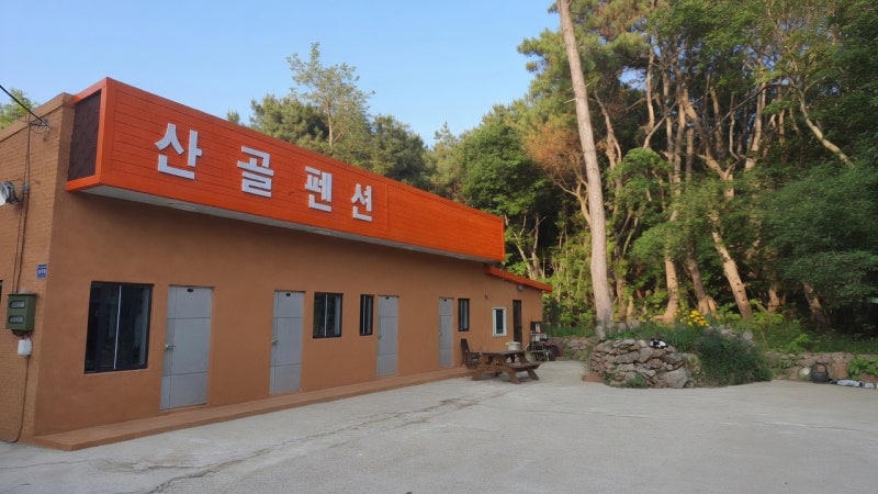 인천 을왕리 해수욕장 근처 가족여행 추천, 시골 감성 가득한 "산골펜션" 후기