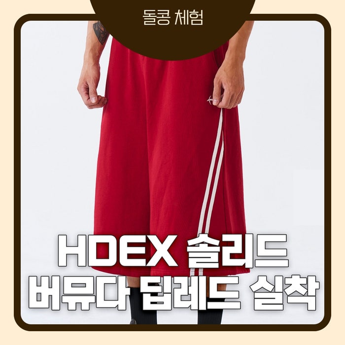 HDEX 솔리드 버뮤다 쇼츠 딥레드 XL 후기｜에이치덱스 버뮤다팬츠 실착 리뷰, 헬스장부터 데일....