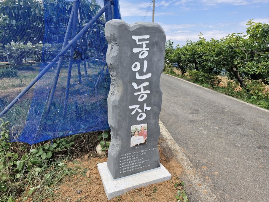 동인 사진 3