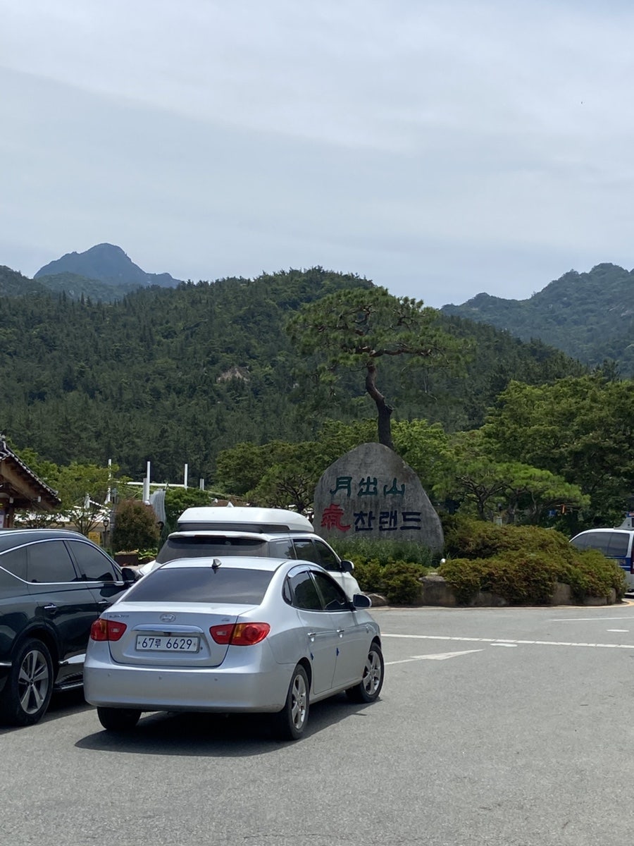 매력한우 기찬랜드명품관 사진 2