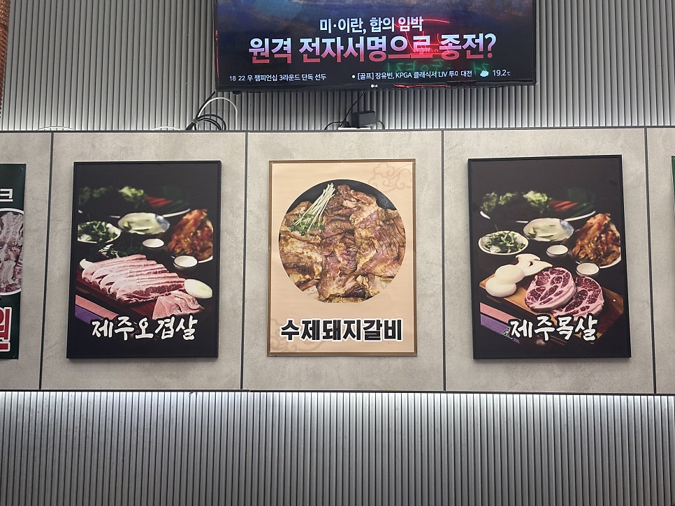 제주도야지 사진 4
