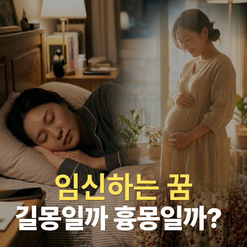 임신하는 꿈 상황별 해몽, 길몽과 흉몽을 가르는 3가지 핵심 판단