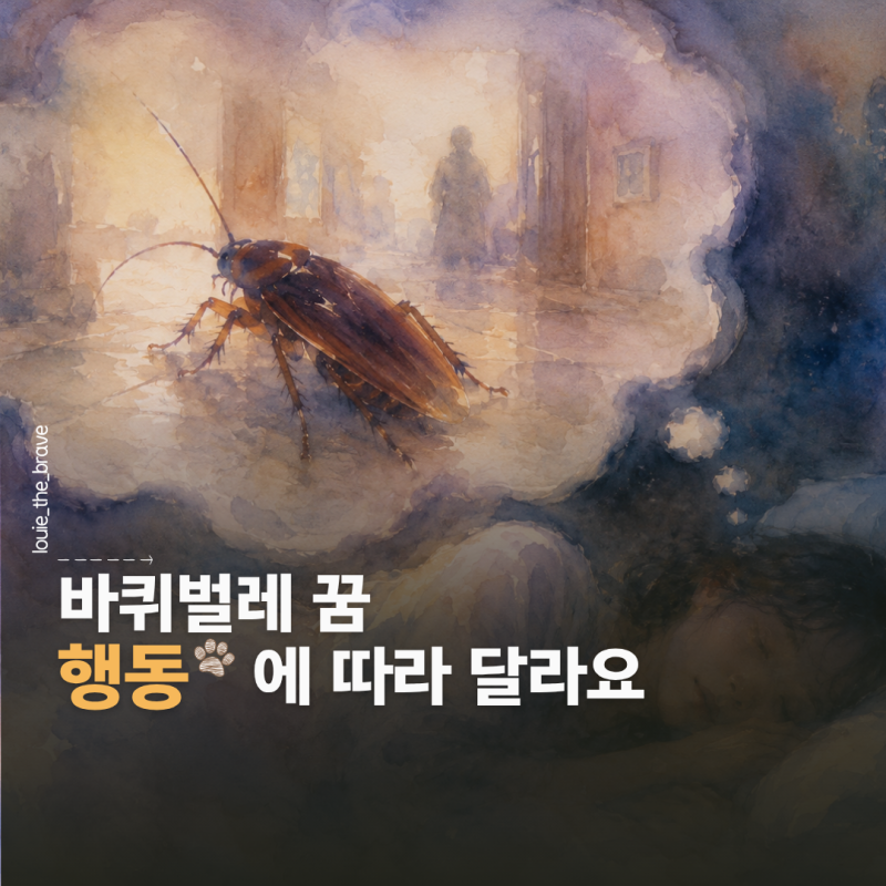 바퀴벌레 나오는 꿈 해몽, 행동으로 길몽 흉몽 갈린다?