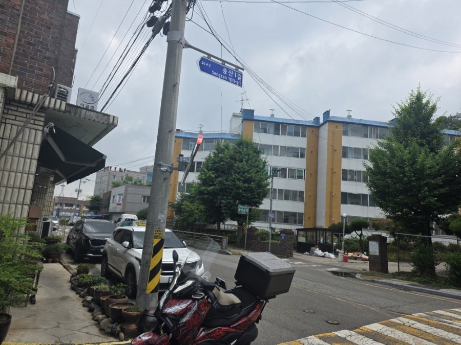 시골집칼국수 사진 3