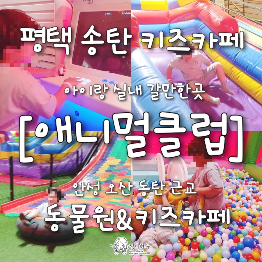 애니멀클럽 사진 5