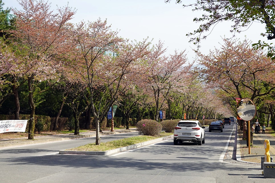 예촌재래식석쇠구이 사진 1