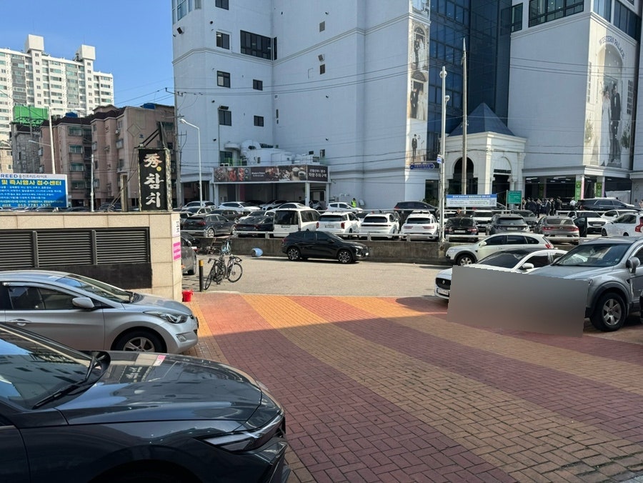 수참치 사진 3