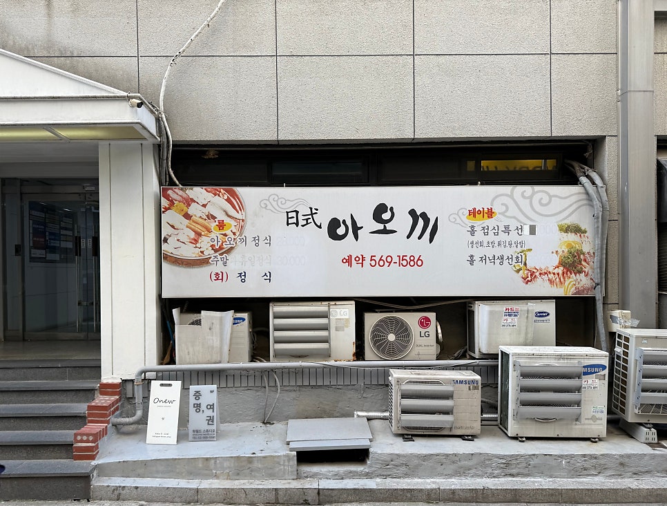 아오끼 사진 1