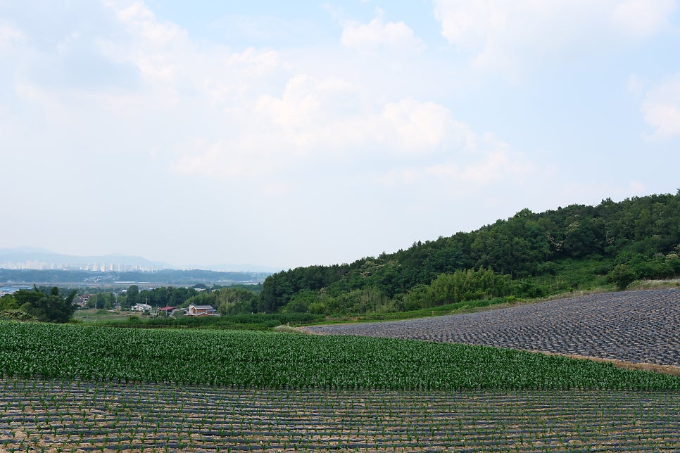 퇴뫼산 사진 3