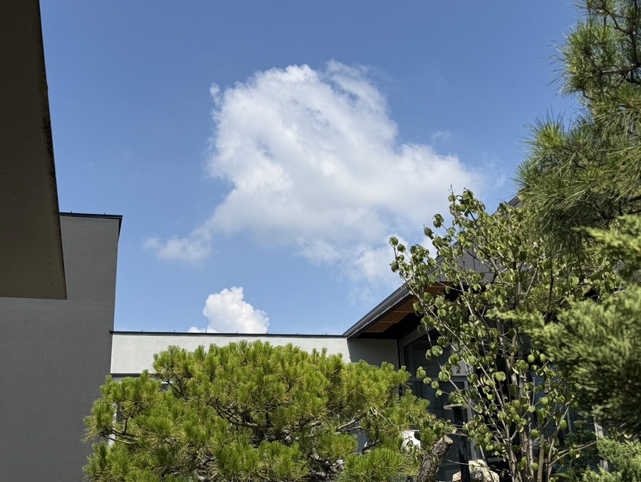 희선당 사진 5