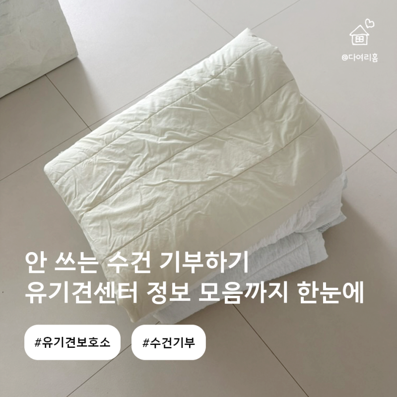 안 쓰는 수건 기부하기 유기견보호소 정보 모음까지 한눈에