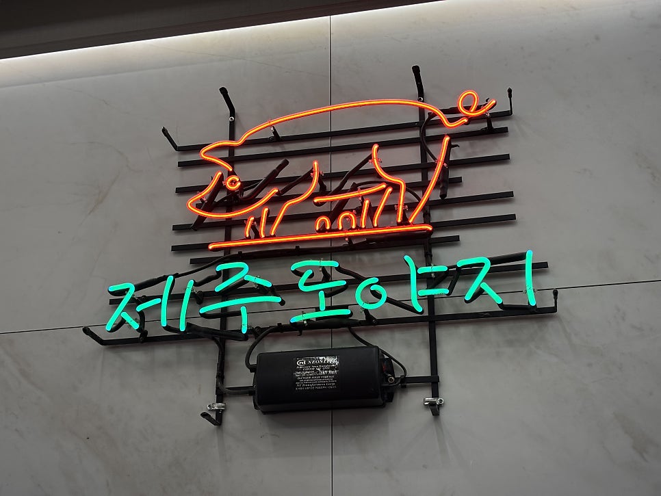 제주도야지 사진 3