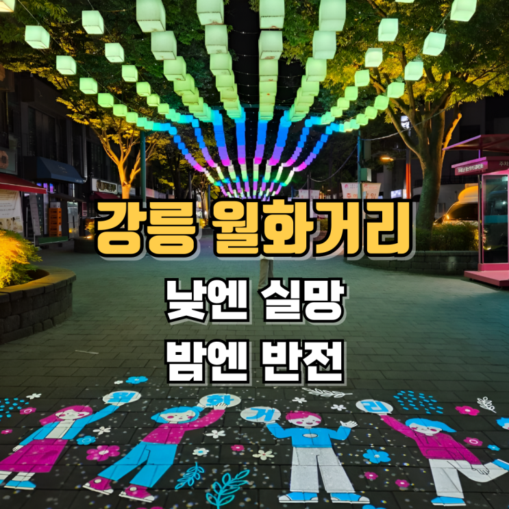  강릉 월화거리 후기낮보다 밤이 더 좋았던 강릉 가볼 만한 곳