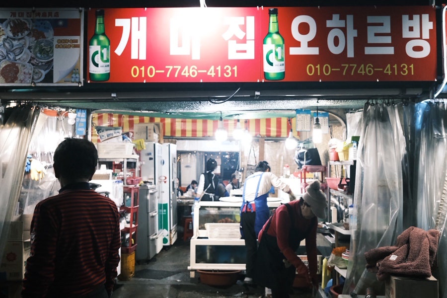 개미집 사진 3