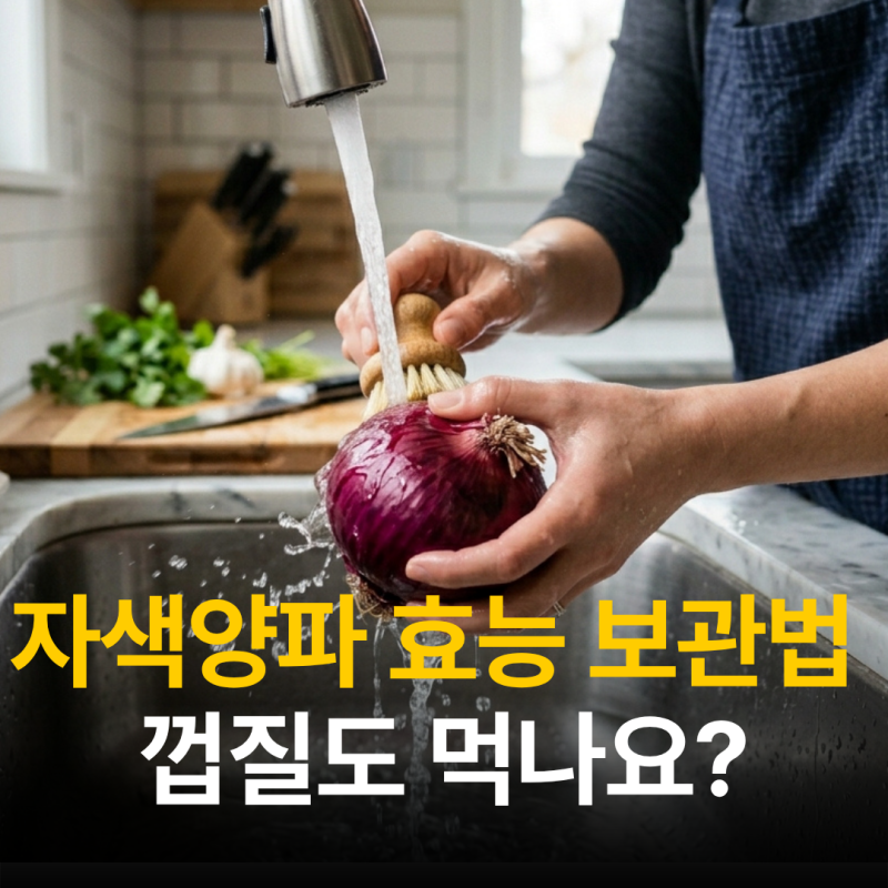 자색양파 효능 보관법 : 껍질도 먹을 수 있을까?