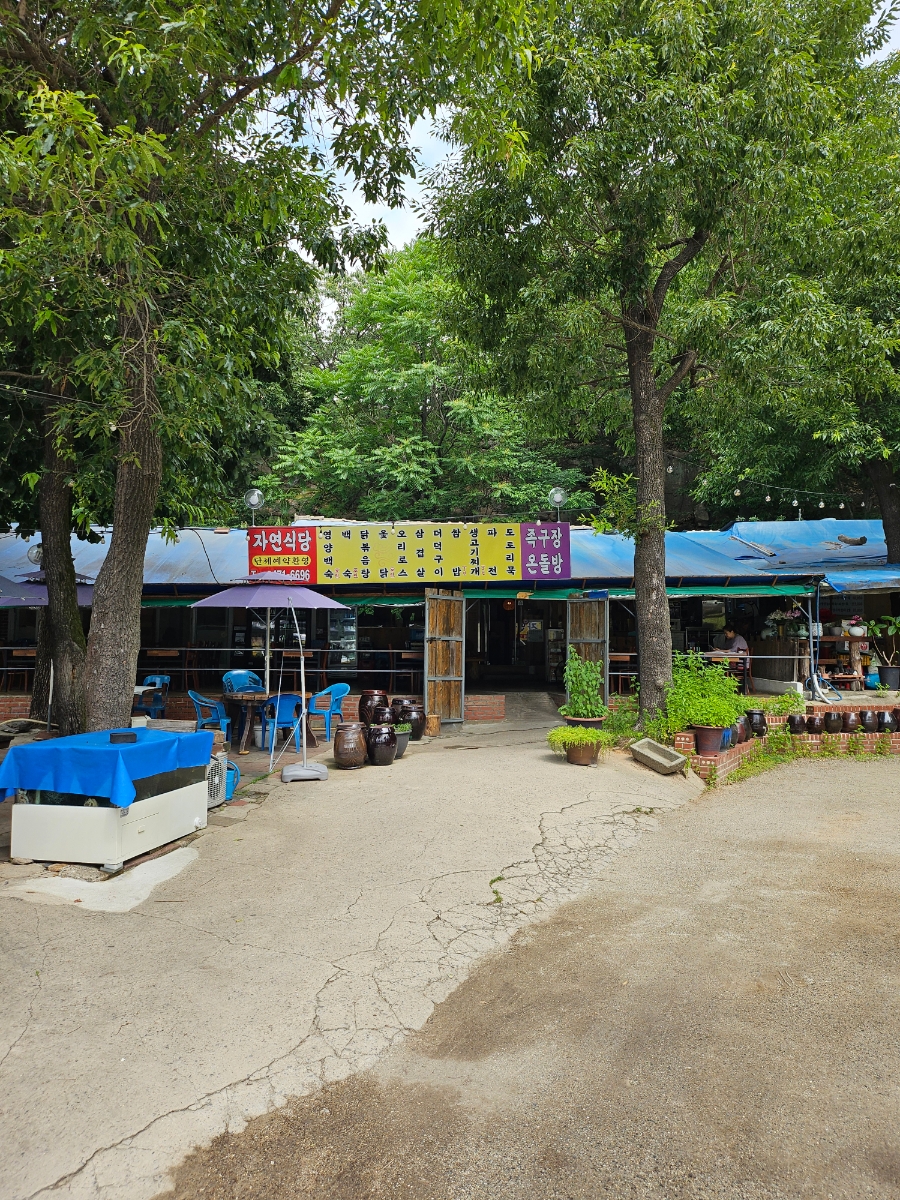 자연식당 사진 4
