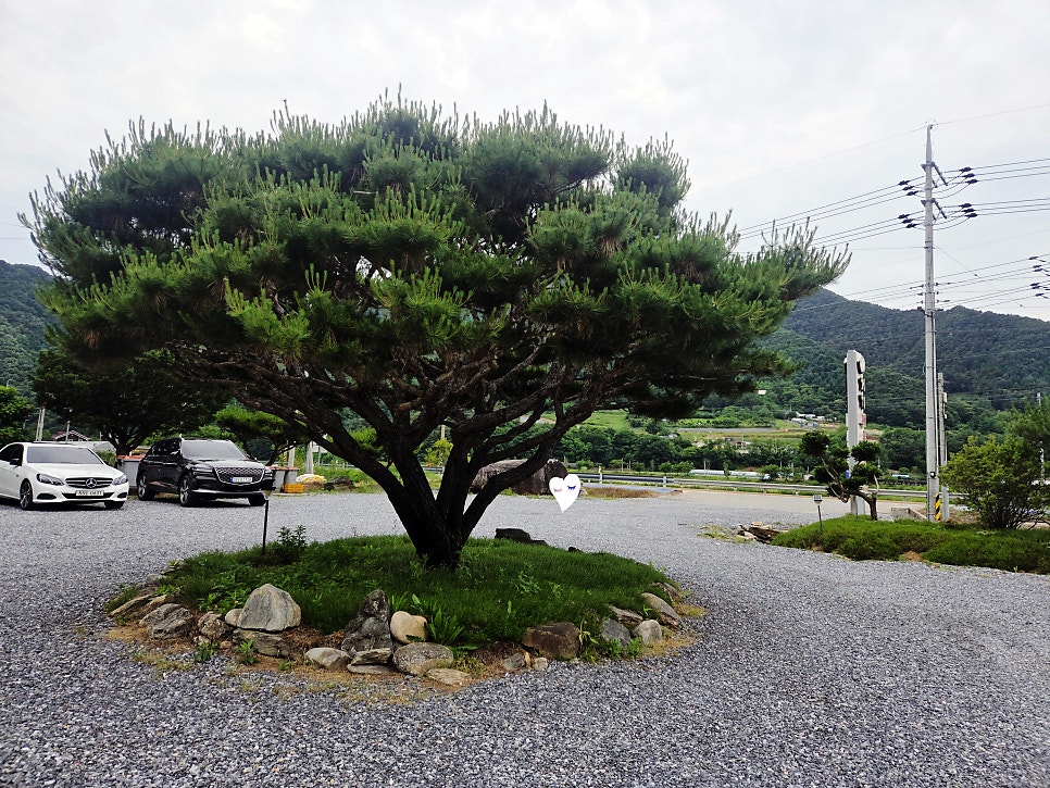 거기매운탕 사진 2