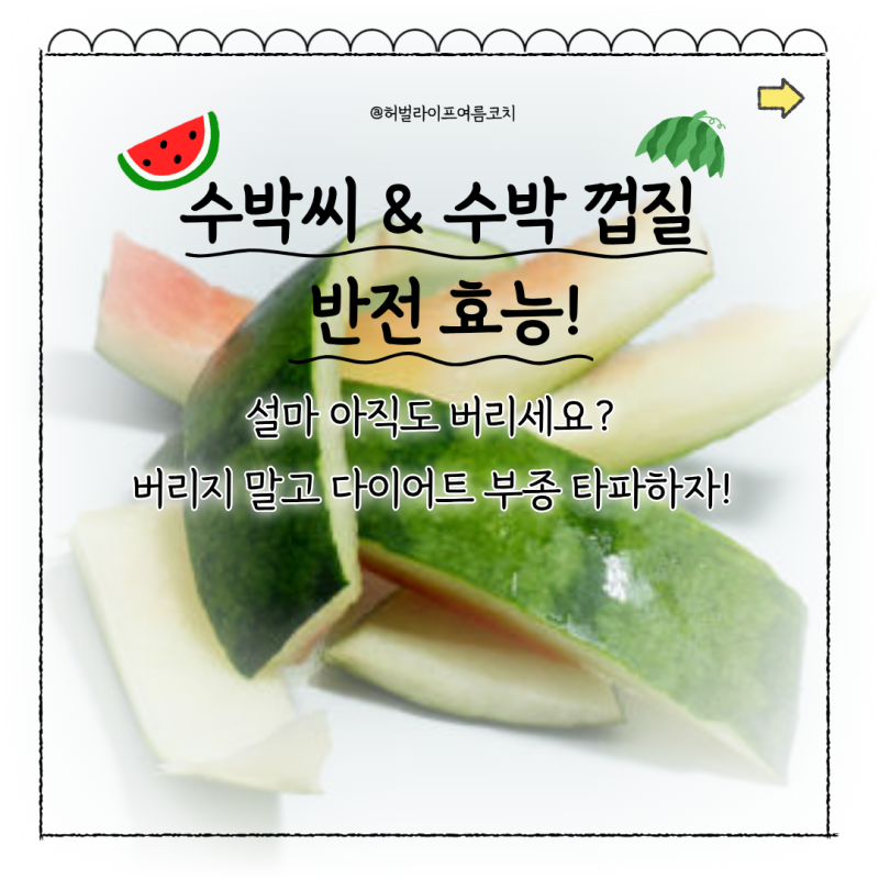 수박씨 효능 및 수박 껍질 칼로리 | 버리지 말고 다이어트 부종 타파하자!