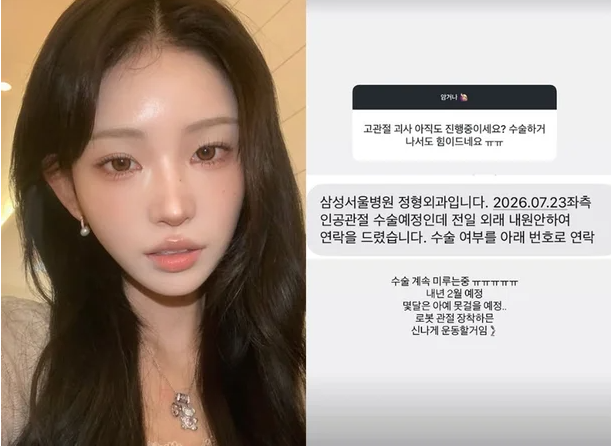 故최진실 딸 최준희, "골반 괴사로 내년 2월 인공관절 수술… 몇 달간 못 걷는다" 투병 근황 ....