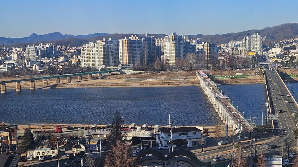 플로라 사진 1