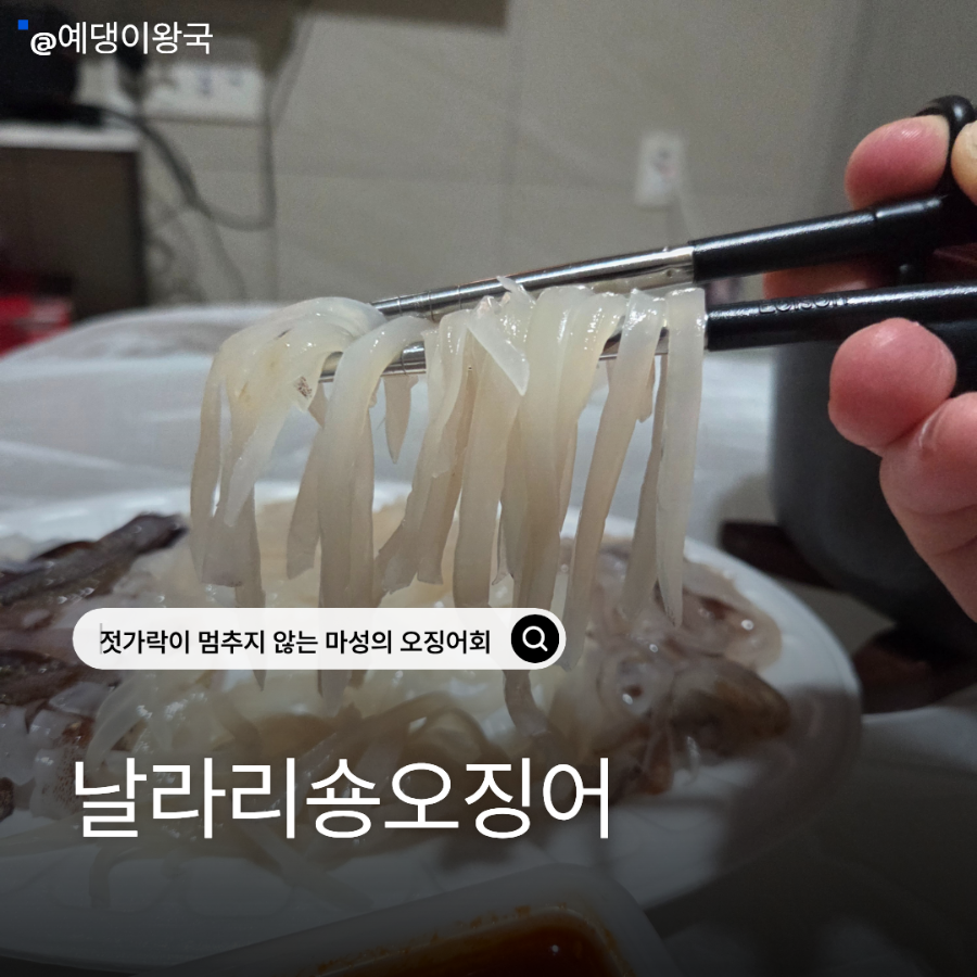 날라리숑오징어 사진 1