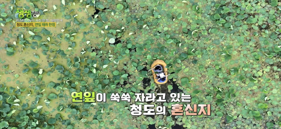 대동골 사진 6