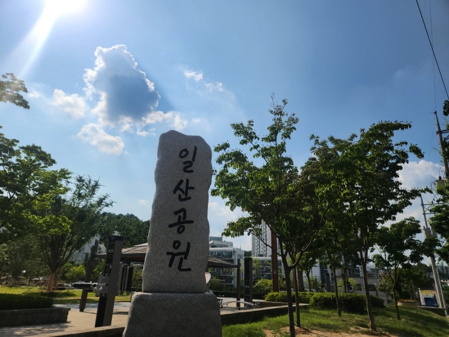 소프소프 사진 3