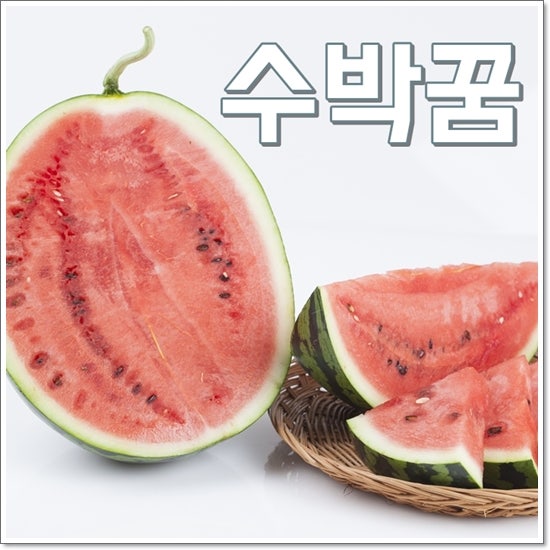 수박꿈 해몽 수박사는꿈 상황별 6가지 풀이