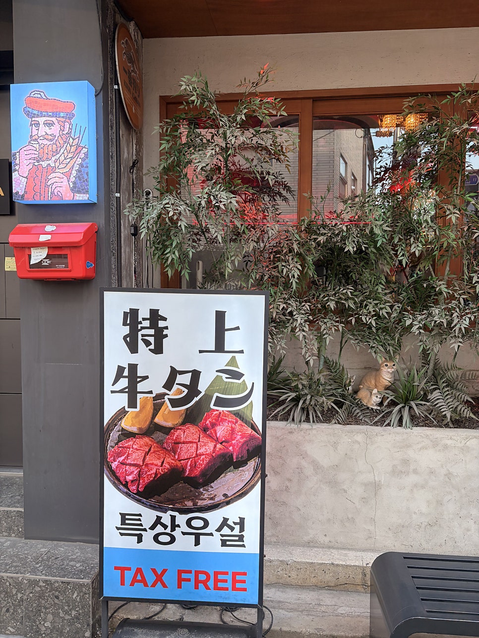 Akasakakeurabu photo 2