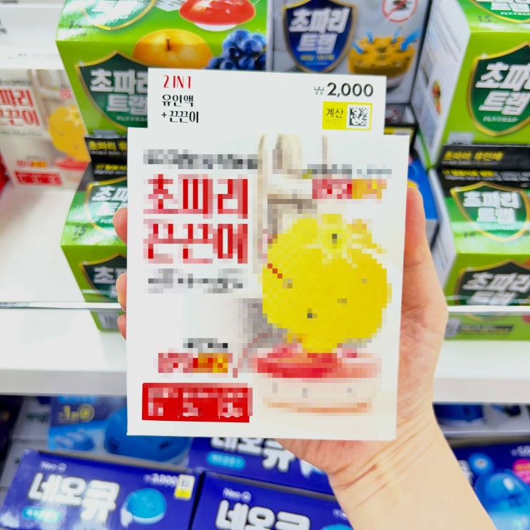  다이소 초파리 트랩 끈끈이 퇴치제 종류 비교, 직접 써보니 “이 제품” 효과 괜찮네요