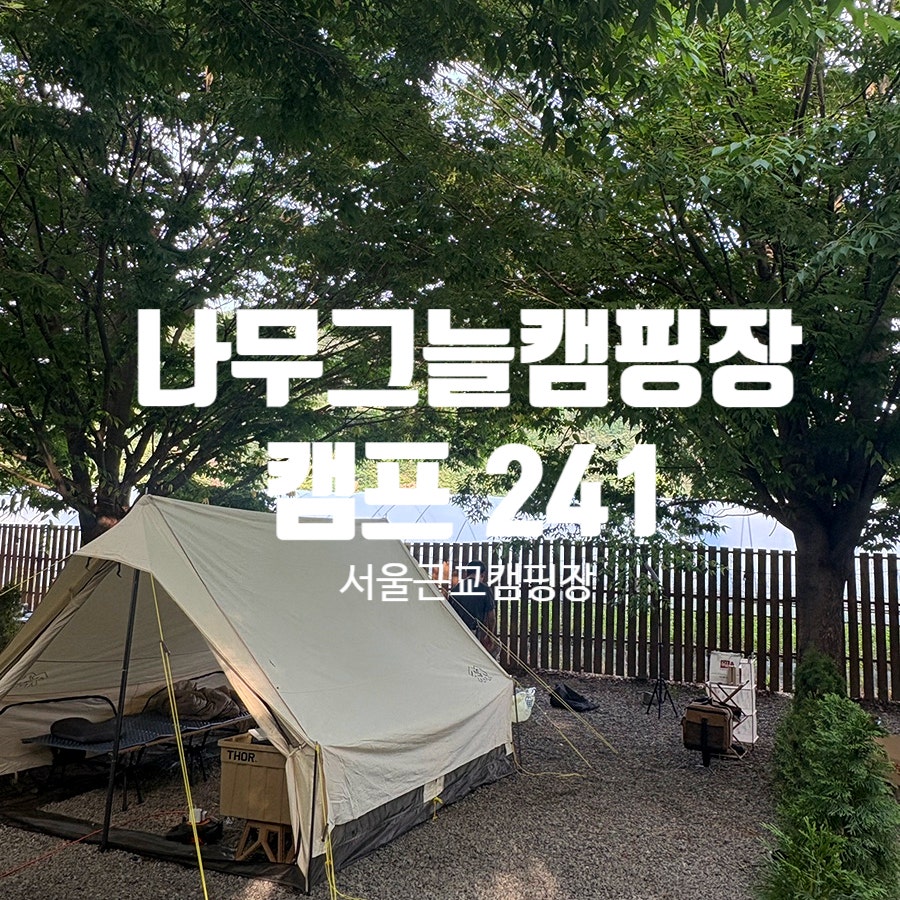 통나무집닭갈비 사진 2
