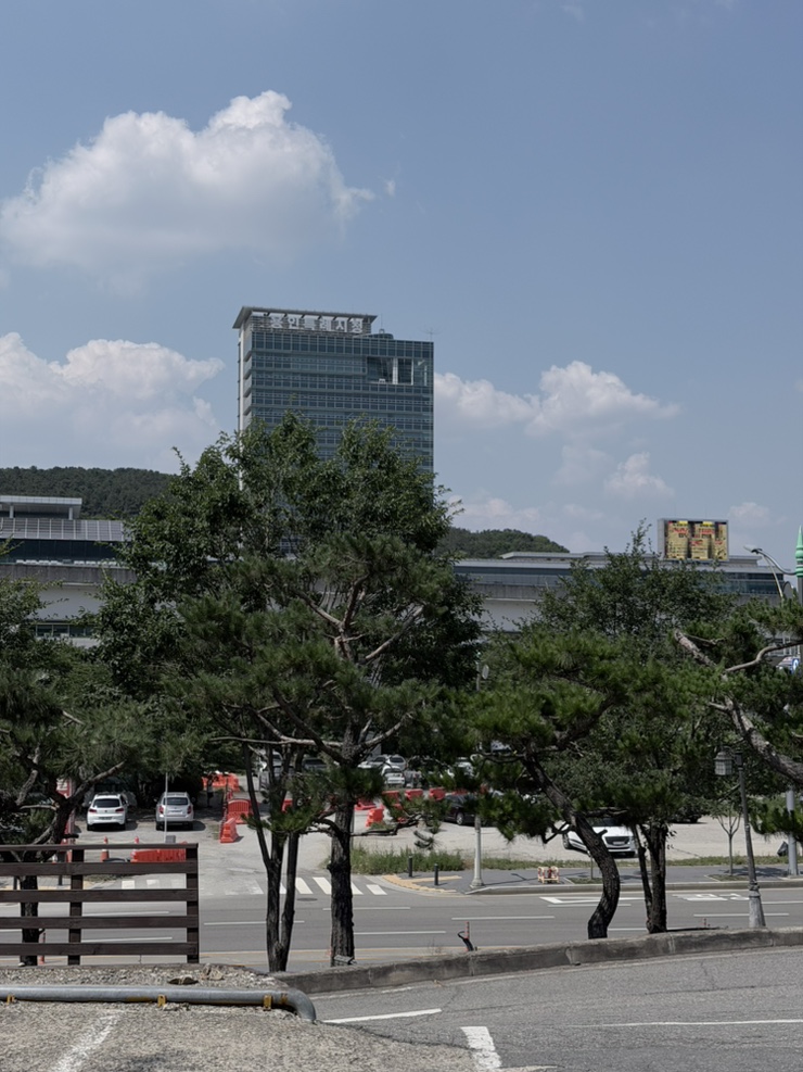 바위꽃 사진 2