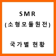  SMR 소형원전 주요국가별 관련 기업 및 기술 현황