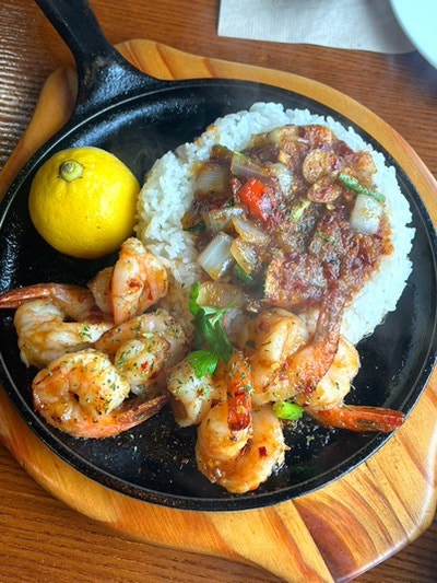 비반다 사진 5