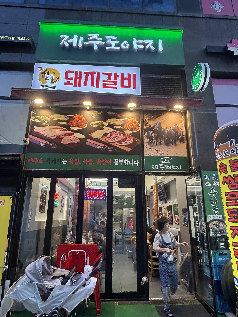 제주도야지 사진 2