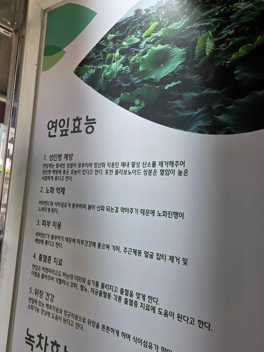웰빙녹차연잎왕만두 사진 4