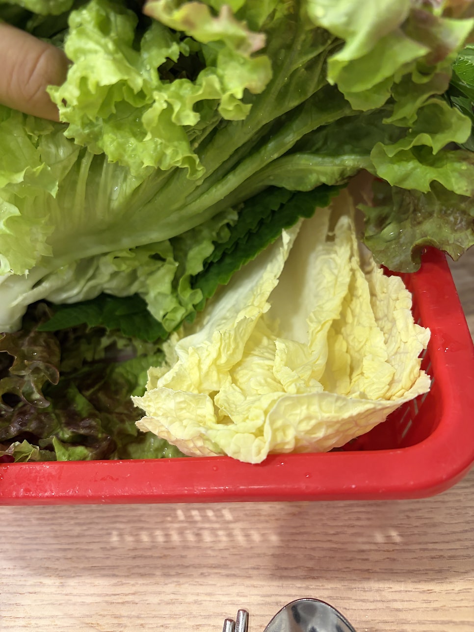 동천대패 사진 6