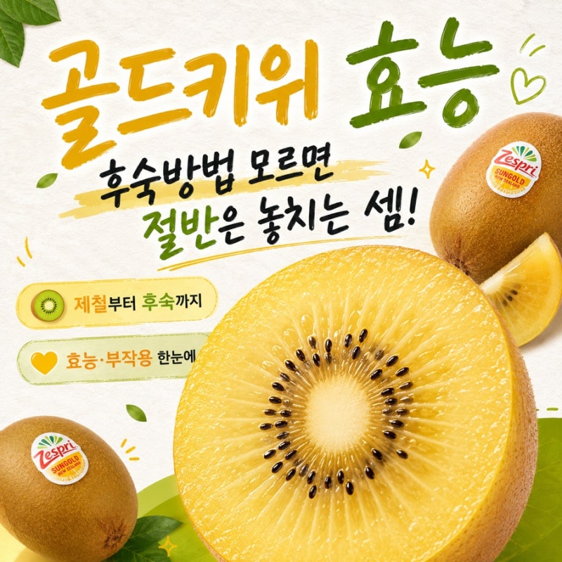 골드키위 효능 부작용 후숙방법 모르면 절반은 놓치는 셈이에요