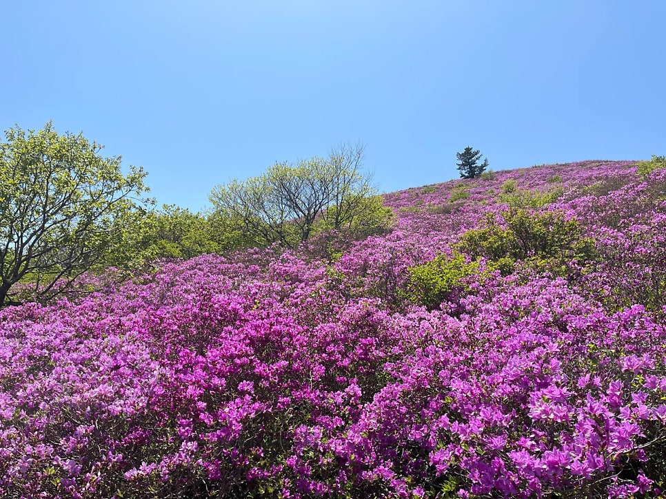 일림산 사진 4