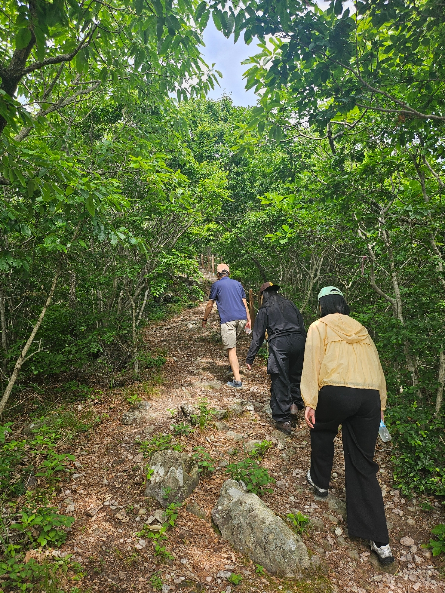 Nammangsan photo 5