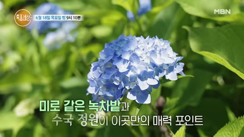 골망태펜션 사진 2