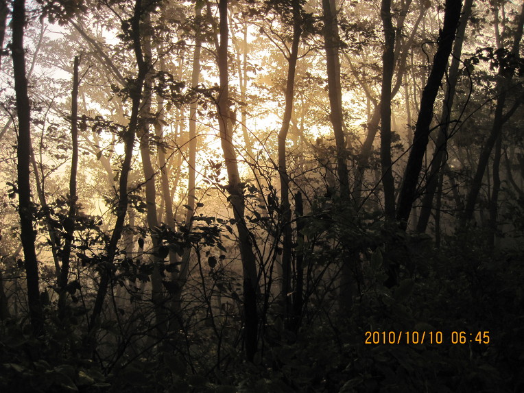 구룡산 사진 6