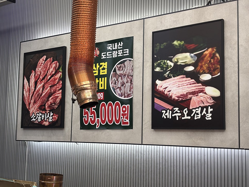 제주도야지 사진 5