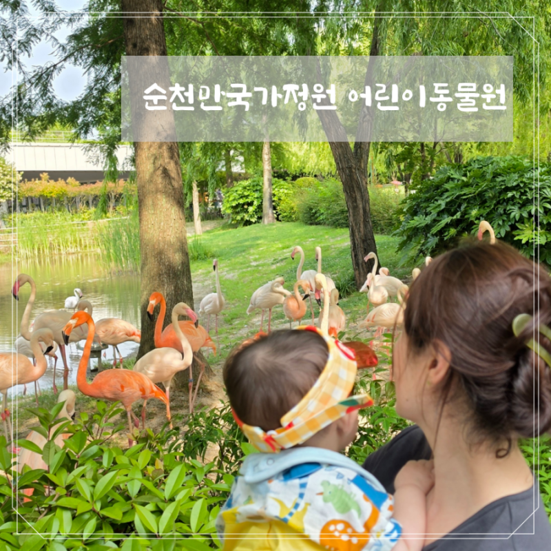 [전남 순천] 순천만국가정원 어린이동물원 아기랑 물놀이