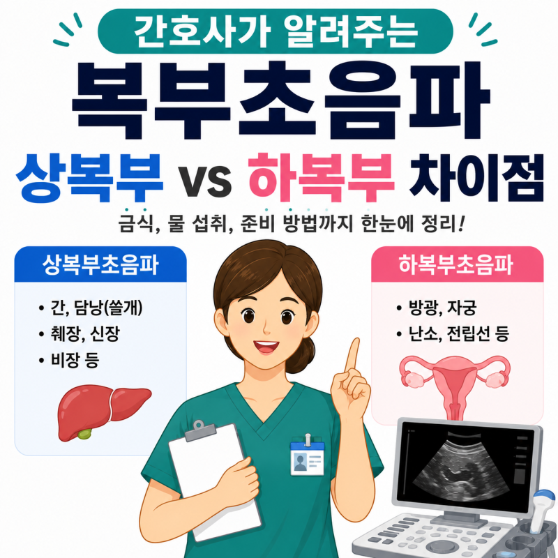 복부초음파 검사 금식, 물도 마시면 안될까? 하복부초음파와 차이점